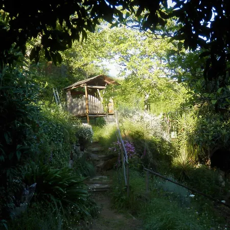 Luxury tent Man Yurt