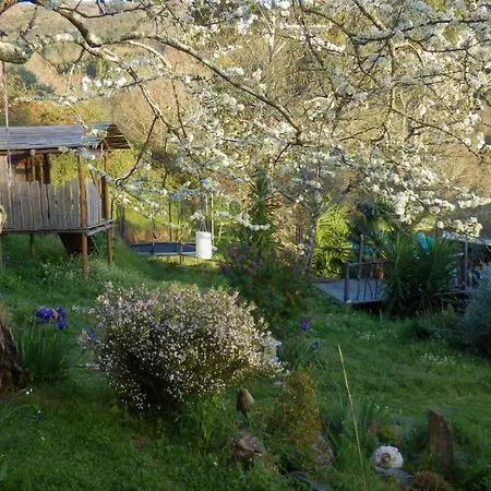 Man Yurt Luxury tent