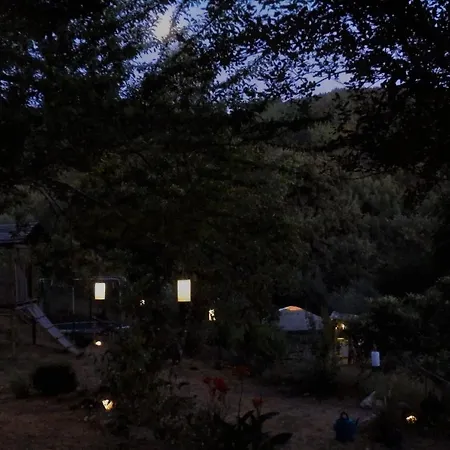 Luxury tent Man Yurt